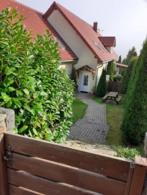 Tisá 488, Tisá
